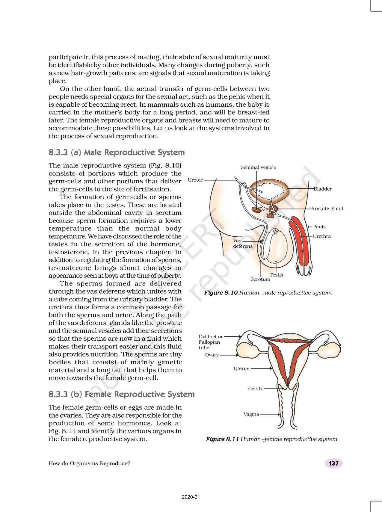 how-do-organisms-reproduce-ncert-book-of-class-10-science